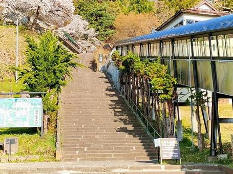 飯盛山 飯盛山の写真