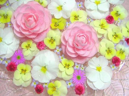 flower arrangement, flower, flower arrangement, spring flower, JPG