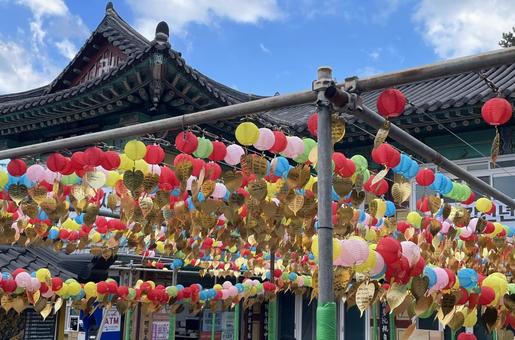 Photo, haedong yonggungsa temple, lantern, korea trip, 