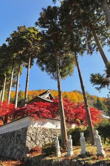 紅葉　長野県　清水寺 紅葉,長野県,清水寺の写真素材