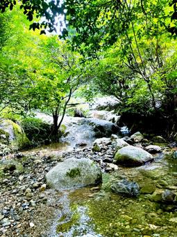 川 川の写真
