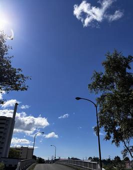 頭上の日差しと青空 頭上の日差しと青空の写真