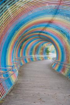 兵庫県　播摩中央公園の風景 播摩中央公園,兵庫,兵庫県の写真素材