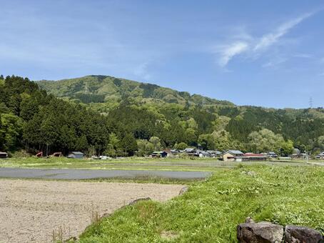 福井県池田町　春の野山と集落 木陰,池田町,木漏れ日の写真素材