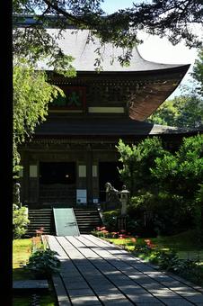 東香山大乘寺 緑,日本,屋外の写真素材