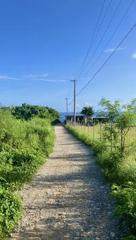 青空に続く田舎道 青空に続く田舎道の写真
