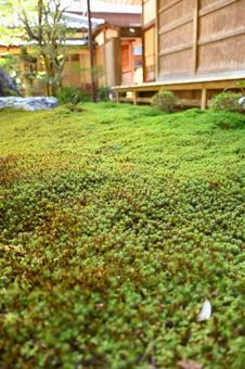 西尾の吉良家の菩提寺「片岡山 華蔵寺」 西尾の吉良家の菩提寺「片岡山 華蔵寺」の写真