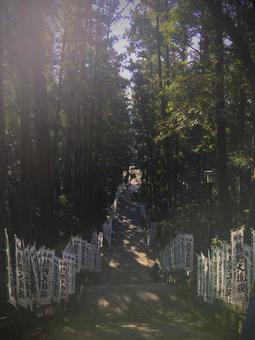 熊野本宮大社の参道 熊野本宮大社の参道 熊野本宮大社,参道,神社の写真素材