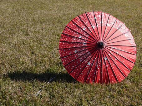芝生の上の和傘 和傘,芝生,傘の写真素材