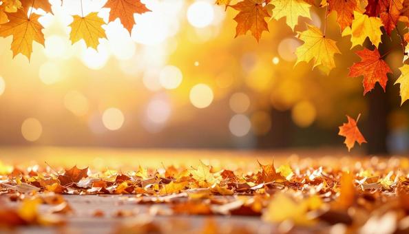 秋のイメージの背景画像 紅葉 野原 秋のイメージの背景画像 紅葉 野原の写真