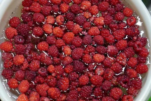 Washing raspberries13, JPG