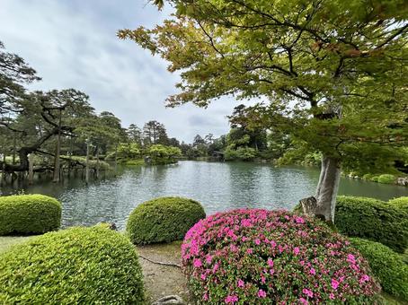 日本三名園・金沢の兼六園 日本三名園・金沢の兼六園 兼六園,金沢,石川の写真素材