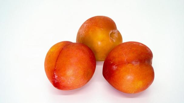 赤いプラム　白背景 プラム,すもも,フルーツの写真素材