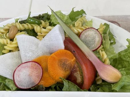 ヘルシーランチプレートのサラダ ヘルシーランチプレートのサラダ 野菜,サラダ,野菜たっぷりの写真素材