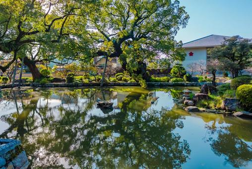 【福岡】太宰府天満宮の風景 太宰府天満宮,福岡,太宰府の写真素材