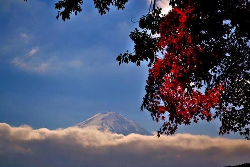 富士山紅葉 富士山紅葉の写真