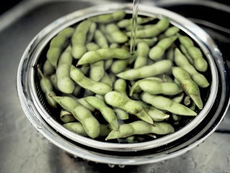 枝豆を洗う 枝豆,野菜,大豆の写真素材