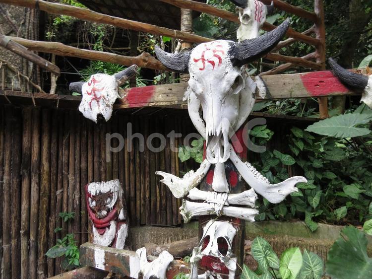 中国・海南島・檳榔谷少数民族村 中国,海南島,檳榔谷少数民族村の写真素材