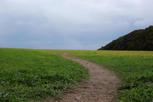 メタセの杜４ 福岡,行橋,メタセの杜の写真素材