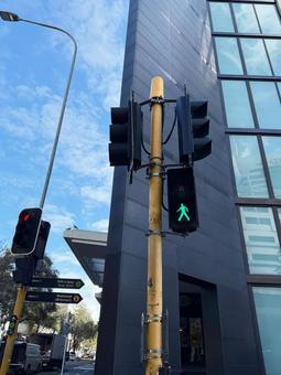 NZ_AUCKLAND NZ_AUCKLANDの写真