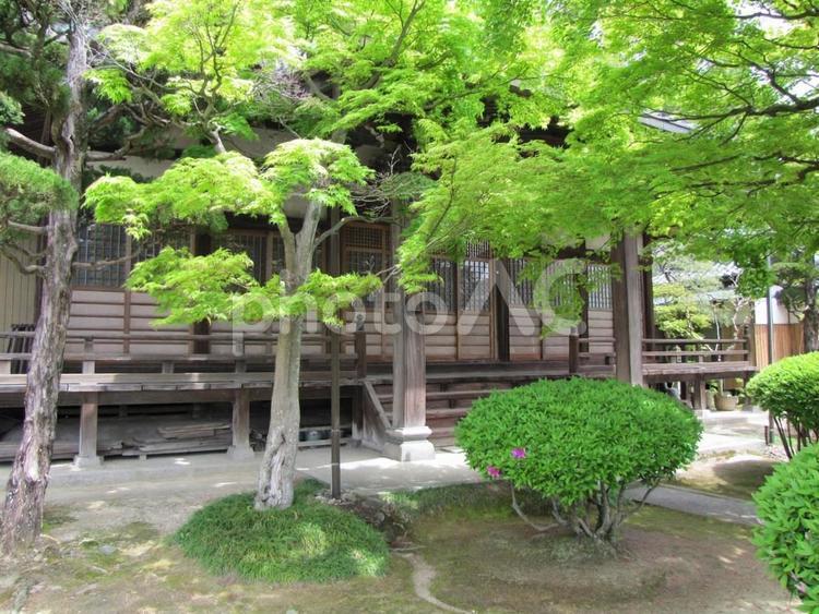 【風景写真】観音寺(広島県三原市)の風景 観音寺,時宗,寺社仏閣の写真素材