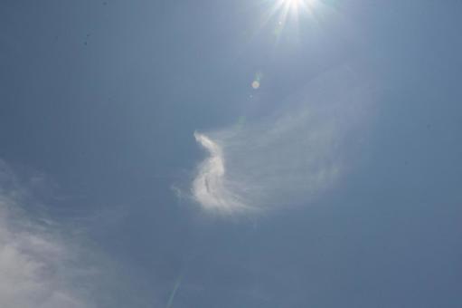 照片, 晴天, 看到天空, 夏日, 