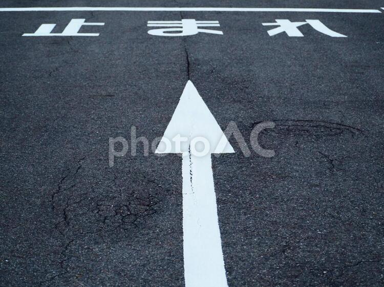 止まれの道路標示と矢印 止まれ,道路標示,矢印の写真素材