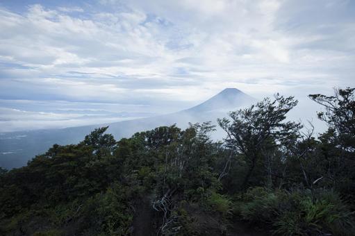 越前岳から望む、朝霧に煙る富士山 越前岳から望む、朝霧に煙る富士山の写真