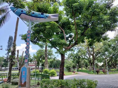 鳳林公園 鳳林公園 台湾,鳳林,鳳林公園の写真素材