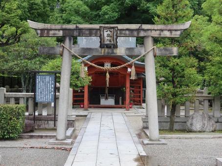 京都 東寺 八島社殿 鳥居 京都 東寺 八島社殿 鳥居 京都,東寺,八島社殿の写真素材