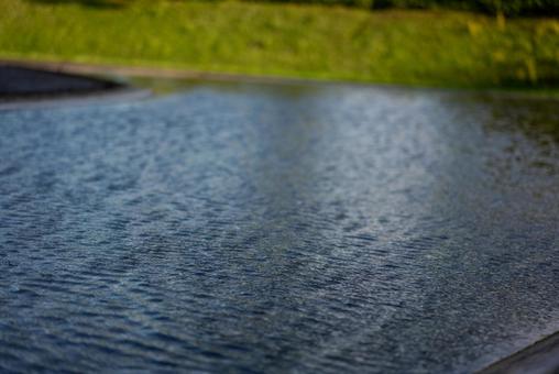 光と緑が映る水面の波紋 水,水面,波紋の写真素材