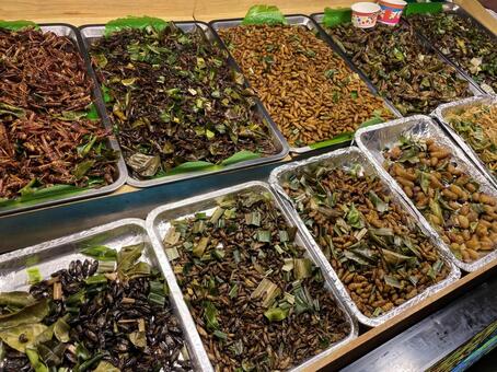 昆虫食 昆虫食,露店,芋虫の写真素材