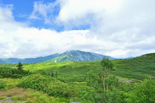 晴天の雲ノ平と北アルプスの山々 晴天の雲ノ平と北アルプスの山々の写真