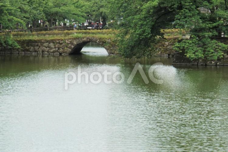 小田原城の堀 小田原城,堀,橋の写真素材