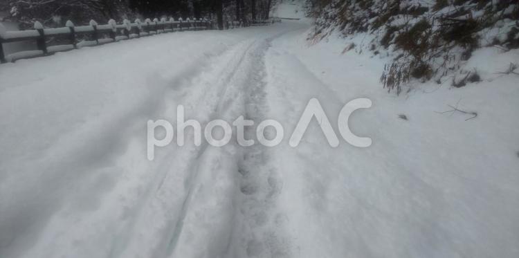 雪の林道の歩いた跡 冬,登山,冬山の写真素材