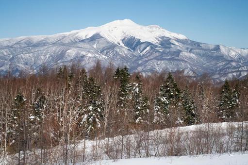 高原から望む冠雪の乗鞍岳 高原から望む冠雪の乗鞍岳の写真