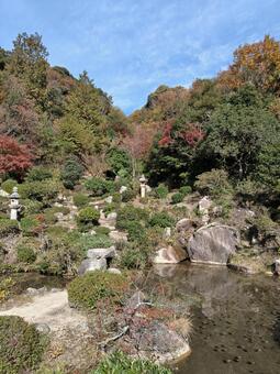 福井県-西福寺-書院庭園 西福寺,寺,大原山の写真素材