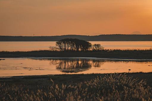 北海道・野付半島 夕暮れのシルエット 北海道・野付半島 夕暮れのシルエット 野付半島,北海道,道東の写真素材