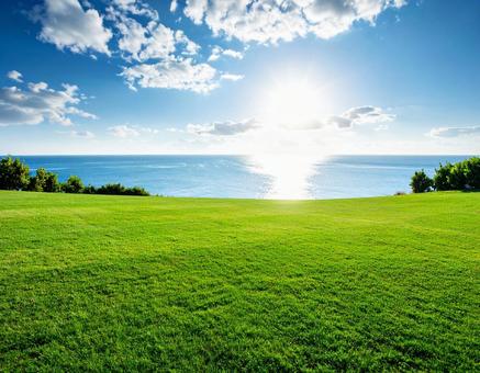 雲のある青空に太陽の下、海と草原の写真