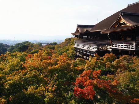 紅葉と清水寺 紅葉と清水寺の写真