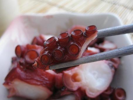 たこ煮 蛸 タコ煮物 蛸料理 柔らか煮 たこ煮 蛸 タコ煮物 蛸料理 柔らか煮 たこ煮,蛸,タコ煮物の写真素材
