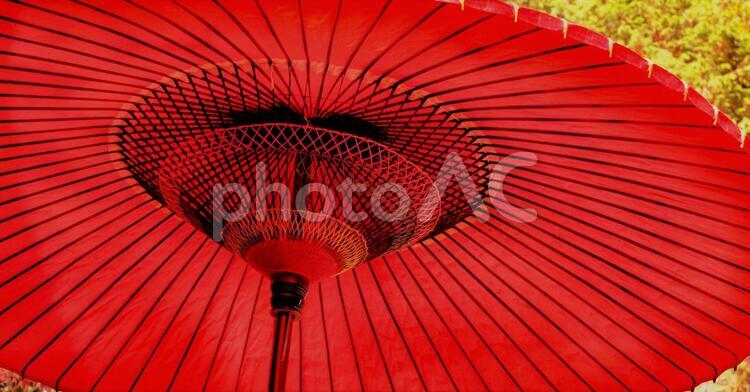 蛇の目傘、クローズアップ、京都の秋 京都,蛇の目傘,和風の写真素材