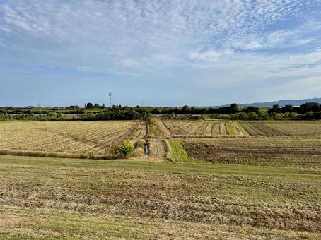 福井県の農業地区 エコ,農場,畑の写真素材