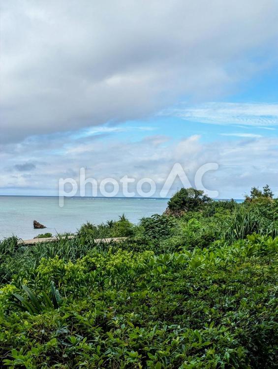 沖縄　残波岬周辺の風景 沖縄,残波岬,沖縄旅行の写真素材