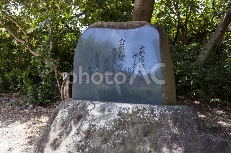 磯丸園地2（田原市） 磯丸,公園,伊良湖の写真素材