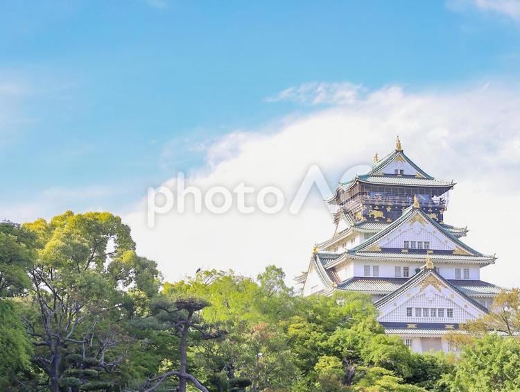 大阪城と青空と新緑 大阪城,城,大阪の写真素材