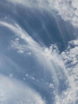 8月の巻雲(けんうん) 8月の巻雲(けんうん)の写真