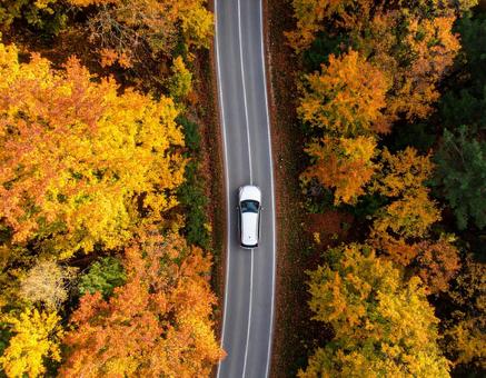 紅葉の林道を走る車の俯瞰 紅葉の林道を走る車の俯瞰の写真