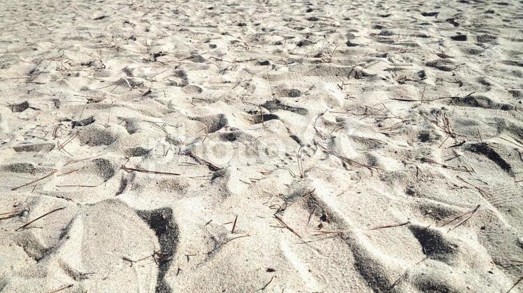 テクチャ　白い砂浜　足跡 砂浜,白い,無常の写真素材