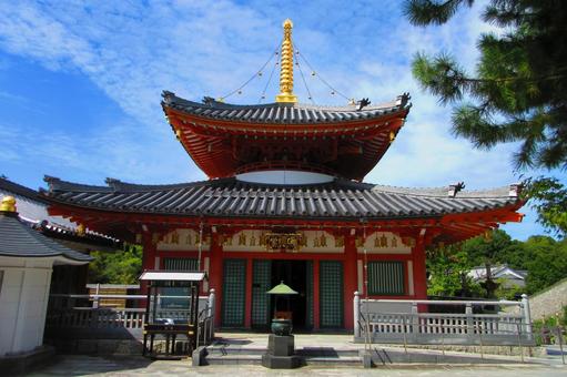 愛知県-興正寺-圓照堂 愛知県-興正寺-圓照堂 興正寺,寺,八事山の写真素材